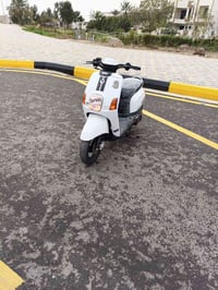 ماكس بوليس نوزل مكفولة كفاله عامه مختمه السعر 650المو شراي لايتعبني 07...