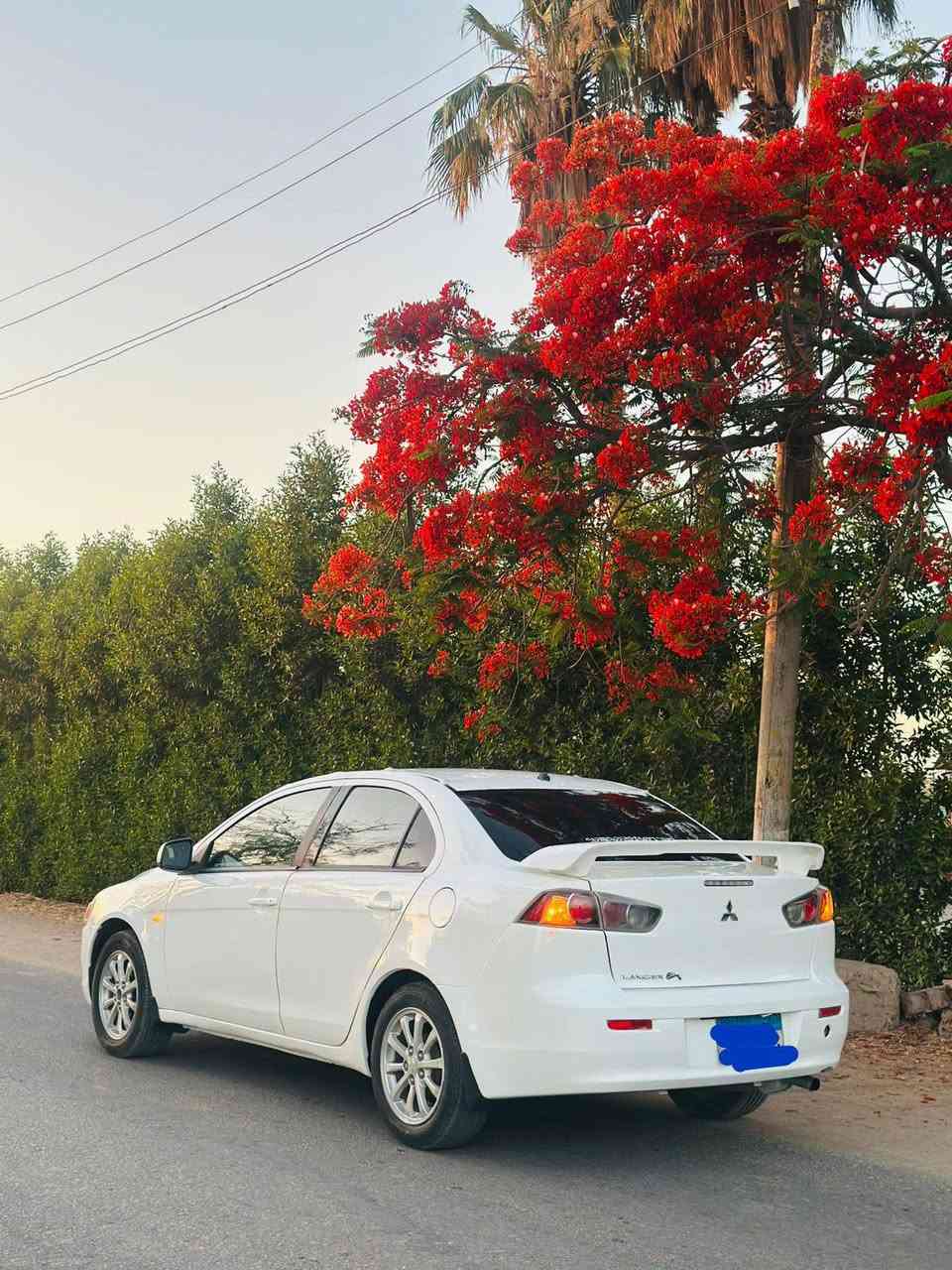لانسر شارك خليجى
مالك أول الفئة الثانيه

فابريكا دواخل بالكامل 

السقف ورنيش 

المعاينة طنطا 

للتواصل 

01004119296

01022161070


**إذا كنت صاحب هذا الإعلان وتريد حذفه لأي سبب، رجاءا أرسل رسالة إلى الدعم الفني**