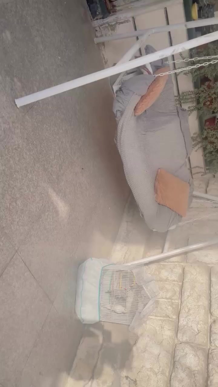 مرجوحه للبيع


**إذا كنت صاحب هذا الإعلان وتريد حذفه لأي سبب، رجاءا أرسل رسالة إلى الدعم الفني**