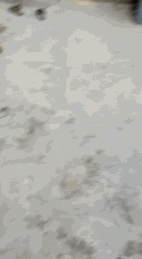 بيت للبيع مكان مقابيل شداد الفارس نزله شيخ مسير الشحماني ماء وكهرباء ب...