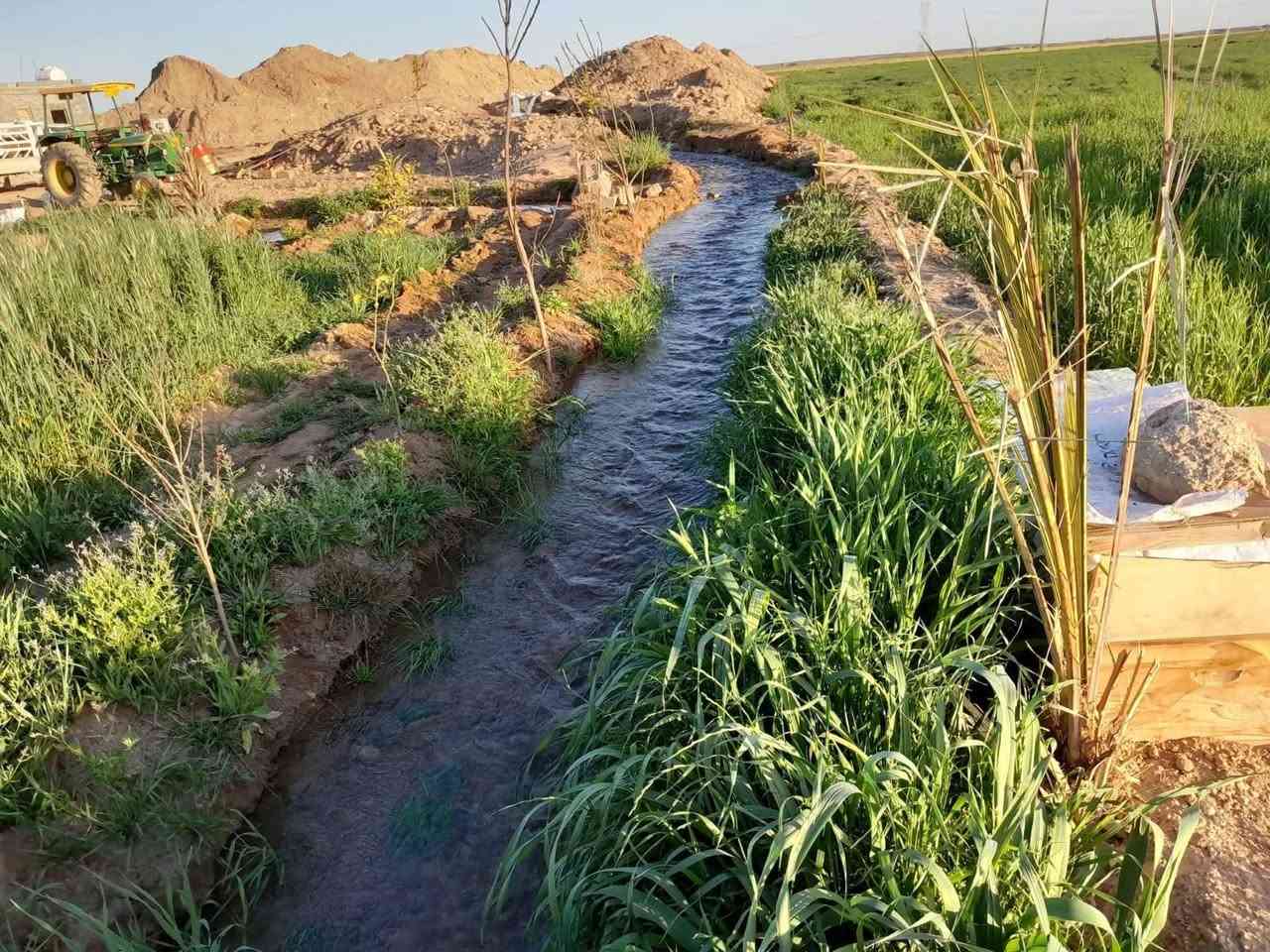 السلام عليكم


**إذا كنت صاحب هذا الإعلان وتريد حذفه لأي سبب، رجاءا أرسل رسالة إلى الدعم الفني**