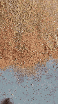 يتواجد عدنا أعلاف دجاج أعلاف أغنام وأبقار 07828384380