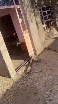 دار للبيع منطقه الحسينيه شارع سيد مطر مساحه 250 وهيه اكثر السعر 30 وبي...