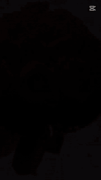 ترند بوكيه سكارف الورد ❤️ 20 وردة صناعي✨ مع طباعة الاسم على السكارف✨ خ...