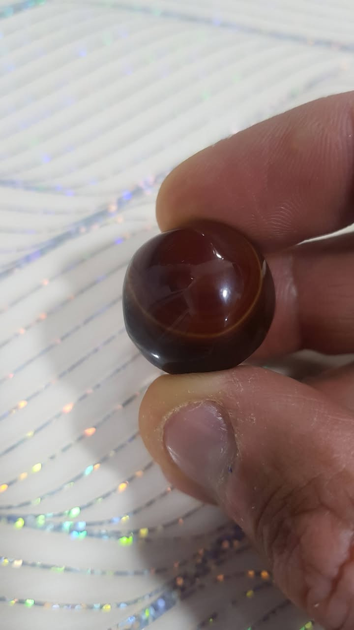 للبيع


**إذا كنت صاحب هذا الإعلان وتريد حذفه لأي سبب، رجاءا أرسل رسالة إلى الدعم الفني**