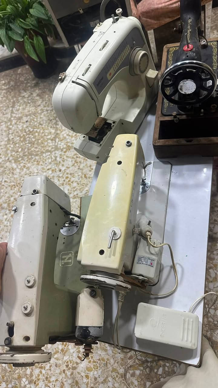 مكائن خياطة 4 قطع مستعملة كلهم 200الف يوجد توصيل بغداد فقط


**إذا كنت صاحب هذا الإعلان وتريد حذفه لأي سبب، رجاءا أرسل رسالة إلى الدعم الفني**