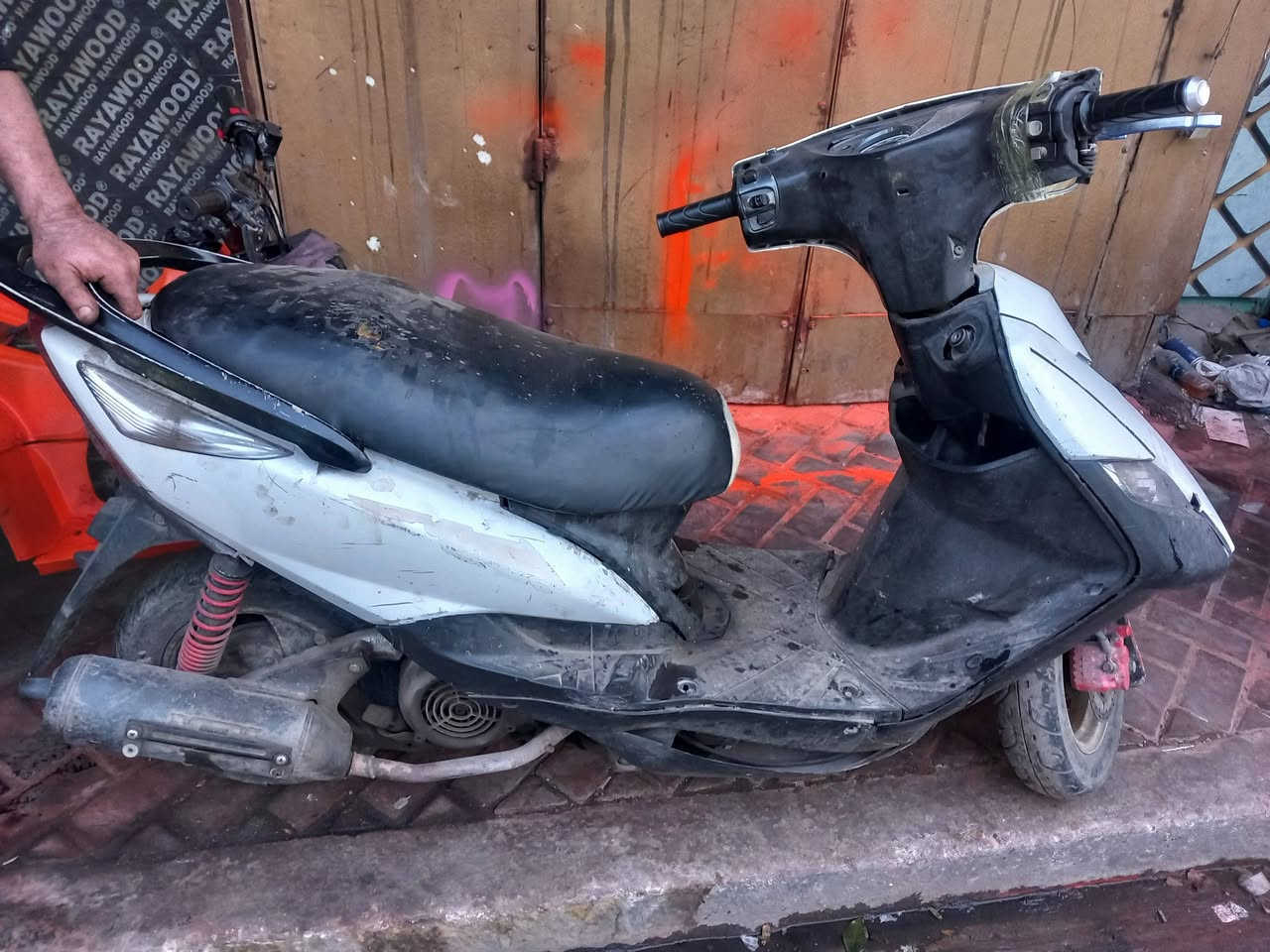 للبيع ماكس ثعلب شغاله يحتاجله غسله وطبكه مال هندر 250 *********** مكاني الاعظميه
