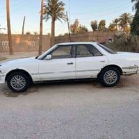 ضربة قوية • مكفولة • نجف مشخاب