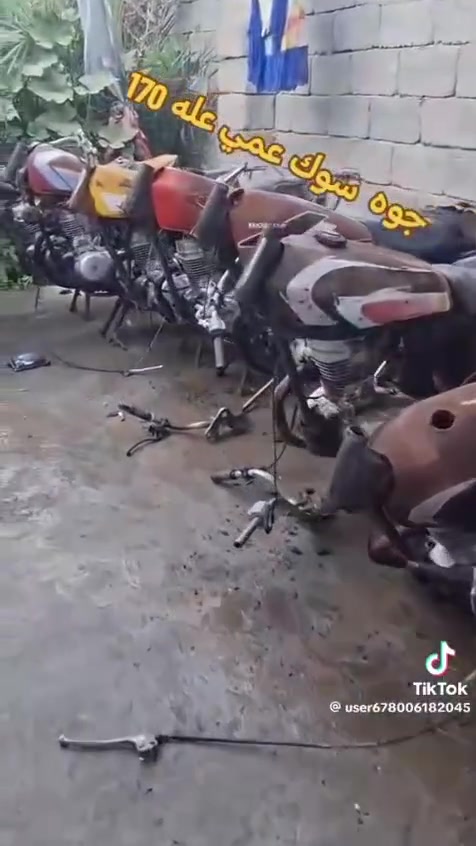 سلام عليكم شباب دراجت مالت مزاد حلوات عوزهن ترتيب مكان سوك شيوخ فضليه سعره 170 ازرب بل سوك😅


**إذا كنت صاحب هذا الإعلان وتريد حذفه لأي سبب، رجاءا أرسل رسالة إلى الدعم الفني**