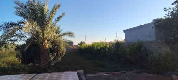 السلام عليكم. للبيع مزرعه 4 دونم
طابو سند 25 ابسم الوالد
تكريت ع سده مال البوضايع.  المزرعه فول الفول
مسيجه كلهه
بيها 3ابيوت جاهزات للسكن وبيت الرابع هيكل واصل للصب
انتبهه اذا ماتشتري. وماتعرف سعرها لاتعلق من يمك المزرعه مفوله واصل ماي وكهرباء ابنصها.
ومرتبه فول. اشجارها تمر وتين وعنب ونومي حامض وبرتقال ومشمش ورمان يعني. مانقصه شي 
اتحب بس تتفرج ع صور واترك كلمة حلوة مثلك
سعرها 825 مليون وبيها مجال قليل 
للاستفسار اكثر اتصل.
***********
***********
