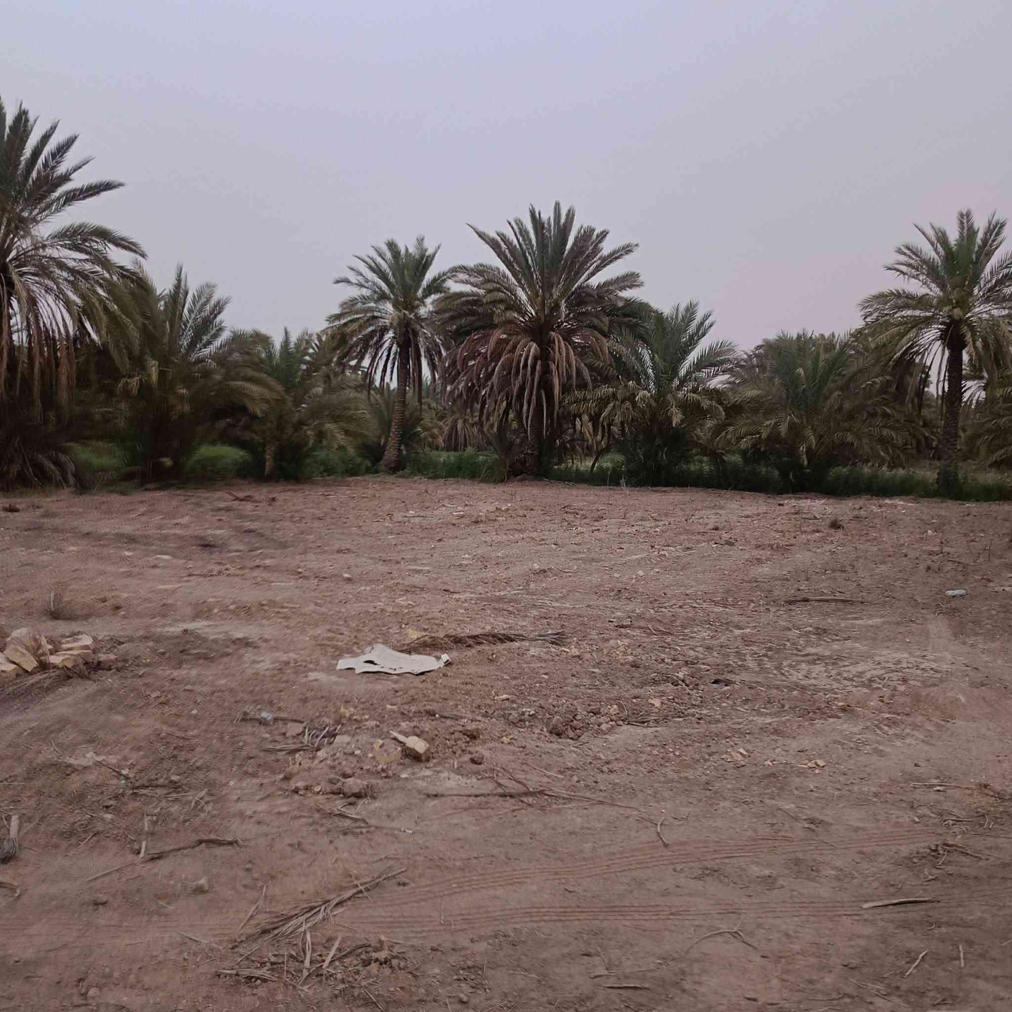 🔻قطعه أرض للبيع
المساحه 1200متر طابو صرف زراعي سند 25

توجد جميع الخدمات ماء مع كهرباء. 

المكان طريق حله دوانيه خلف شركه الرنا. 

تبعد عن طريق حله دوانيه 100متر. 

للستفسار اكثر اتصل عل الرقم. 

***********

