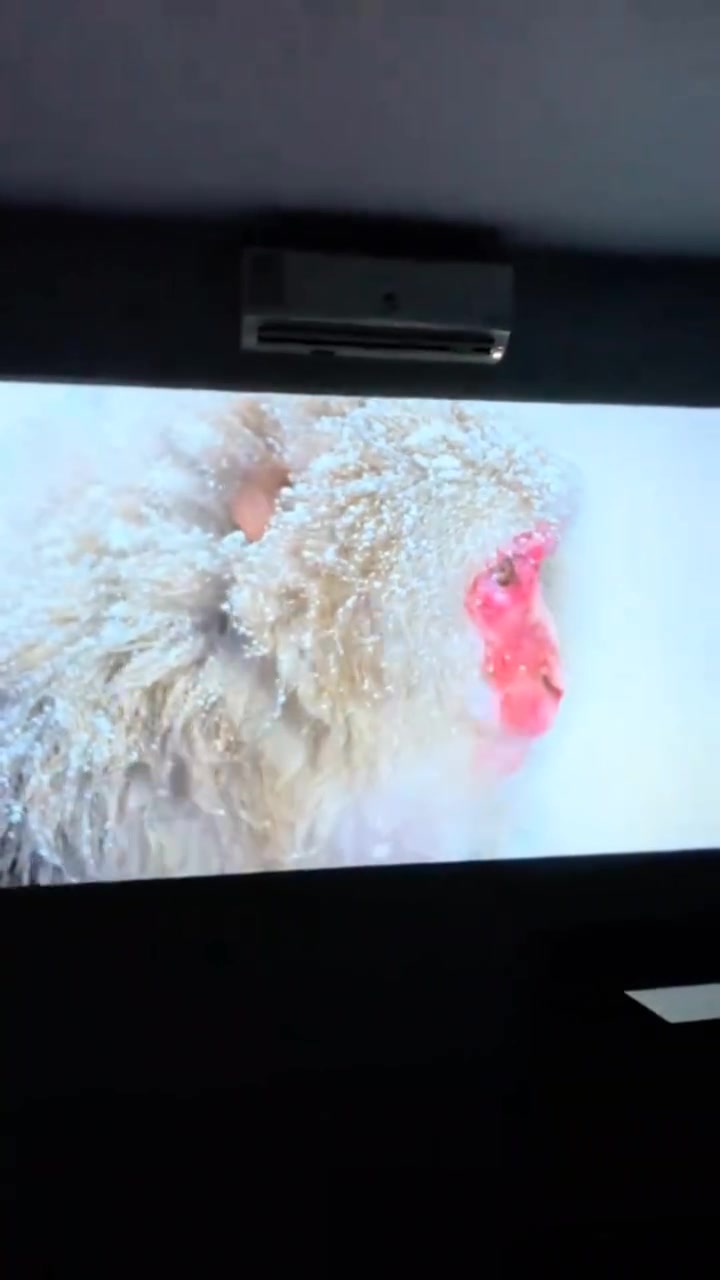 بروجكتر (عارض) HD والدقه 4K والسعر 30 وبي مجال


**إذا كنت صاحب هذا الإعلان وتريد حذفه لأي سبب، رجاءا أرسل رسالة إلى الدعم الفني**