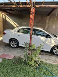 بيكانتو • ٢٠١٣ • كويسينجاك