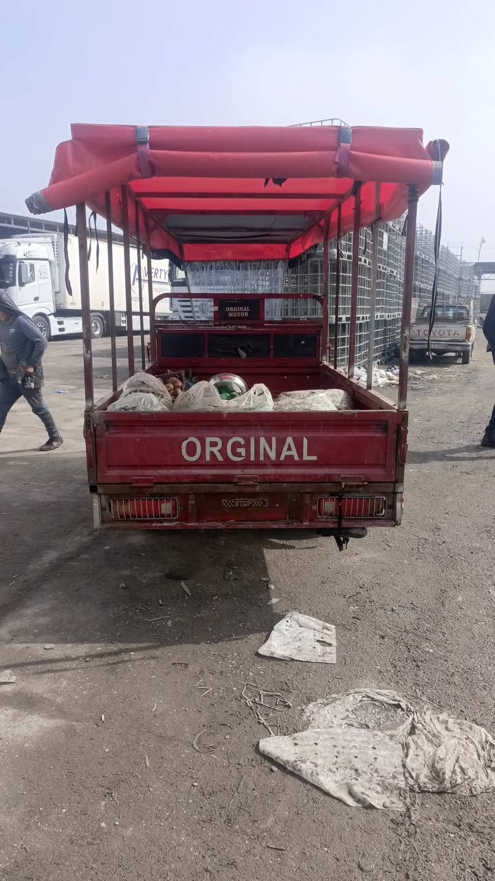 ستوته للبيع مال مخضر ***********
