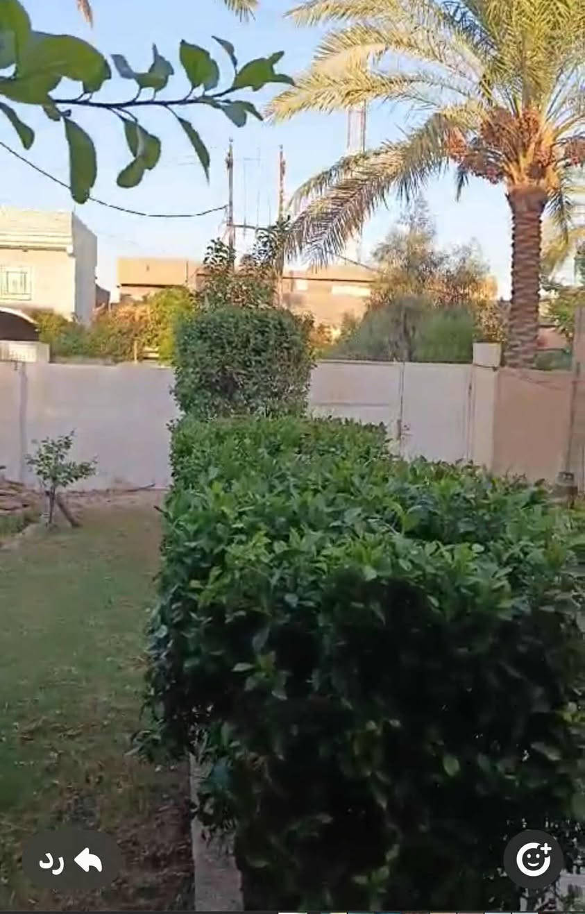 بيت في الجزائر في جهة المستشفى  

واجة 13،5 الظهر 19 تقريبا 

الشارع 20 متر 

المساحة  500 متر 

صنف العقار زراعي  

البيت منجز وفق اجازة بناء استلمتها من الشخص اي باعني البيت في عام 2002 ومثبت بها كتب ( الزراعة ، والتخطيط ، والبلديات ، والبلدية ، والنفط ( شركة الخطوط ، والغاز ، والاتصالات ) 

محول باسمي 
يبعد عن شارع الجزائر 100 متر فقط. 

يبعد عن مشروع أبراج بابل 150 متر 

للاستفسار مراسلتي عبر الخاص 
او مراسلتي عبر الواتس اب او الاتصال على الرقم ***********
