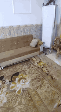 المكان بغداد المعامل ***********
