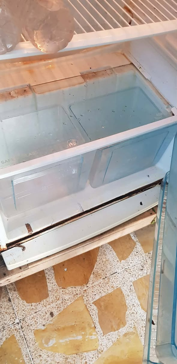 ثلاجة٢٠ قدم شغالة فول السعر ٨٥


**إذا كنت صاحب هذا الإعلان وتريد حذفه لأي سبب، رجاءا أرسل رسالة إلى الدعم الفني**