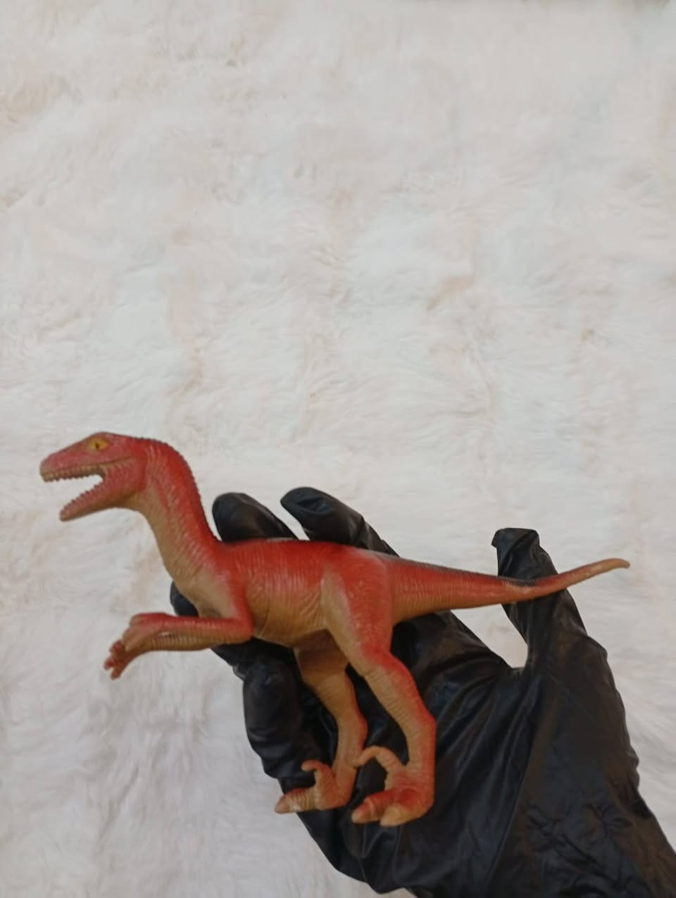 حيوانات ربل مختومه اصليه حجم كبير سعر مجموعه 10الف


**إذا كنت صاحب هذا الإعلان وتريد حذفه لأي سبب، رجاءا أرسل رسالة إلى الدعم الفني**