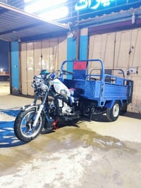 ستوته • موديل ٢٠٢٤ • كفالة عامة