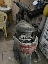 سكنس • ضفيرة • كفرات