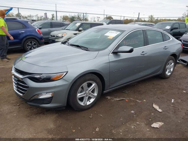 2024 CHEVROLET MALIBU FWD LS
بيع مباشر  :  55 $
تاريخ المزاد  : 2025/12/31
الحادث  :  موضح بالصور
حالة السيارة  :السيارة تعمل و تسير
بالإمكان ادخال السيارة بكتاب شهداء
((  مكان السيارة في امريكا   ))
مدة النقل من امريكا الى العراق من 60  يوم  الى 75  يوم 
 ملاحظة  :  سعر السيارة غير شامل النقل و التخليص و باقي الرسوم للراغبين بالشراء و المزايدة التفضل بالحضور للمكتب لمعرفة باقي التفاصيل
مكتب همام كريدي لمزادات السيارات  
شراء و نقل السيارات من امريكا للعراق
العنوان  /  بابل - حله - شارع الجمعية
اهلا وسهلا بيكم من الساعة ٣ الى الساعة ١٠ مساءاً
***********
واتس اب
https://wa.me/message/BEZOHX2I6NQDD1
 
 
#مزاد #كوبارت #iaai #وارد #امريكي #عقبة #ميناء #بيع #شراء  #استيراد #نقل #الحره #تخليص #تعقيب
