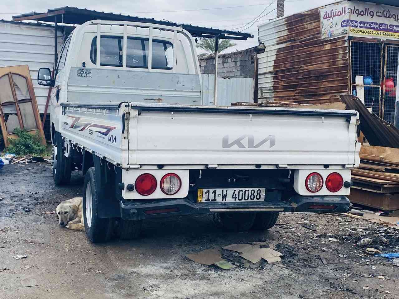 كيا فحل عموشه ٢٠٢٤ ماشايله حمل اخو الزيرو للتواصل ***********
