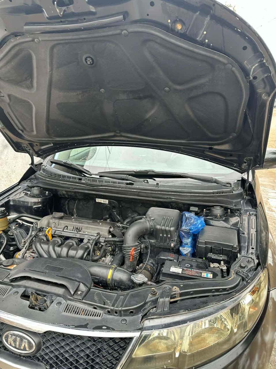 السلام وعليكم
لبيع سيراتوو 2011
السياره خليجي بصمه 🫆
اليساره خير من الله كير ومحرك جديد
تبريد ❄️ثلج 
تخم تايرجديد 
صدرالسياره خير من الله 
السياره كفاله عامه 
عده الجراد بيه موضح بل الصور 
السعر 78وبيه مجال بسيط 
ملاحضه مامتواجد على النت 
اي استفسار اتصل *********** ابو مؤمل
