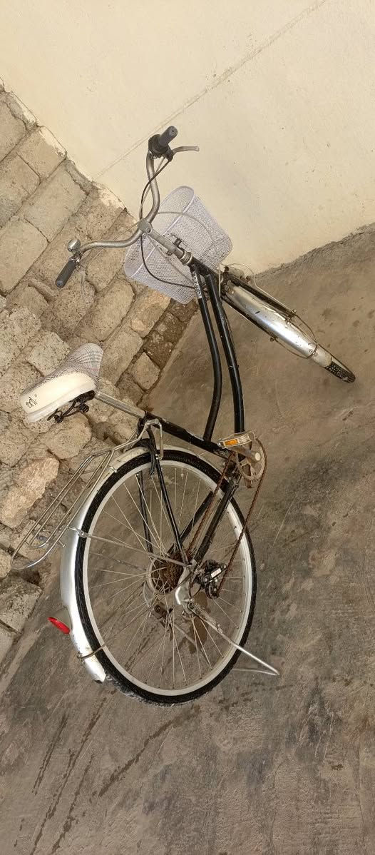 السلام عليكم ورحمة الله وبركاتة
بوسكل سلوكي نضيف حجم 26 
 اللبيع  السعر 90 وبي مجال شي قليل
#ملاحضه يرهم مراوس بدجاج عرب 
المكان الشرقاط قريه شكرأ  
الخاص مفتوح


**إذا كنت صاحب هذا الإعلان وتريد حذفه لأي سبب، رجاءا أرسل رسالة إلى الدعم الفني**