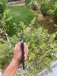 ايفون 11 برو ماكس • ٢٥٦ • شاشه مبدله
