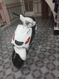 أكزز • ياباني • فحل
