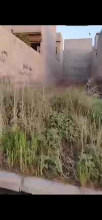 مشرفة الاولى • ١٥٠م • ٦م×٢٥م