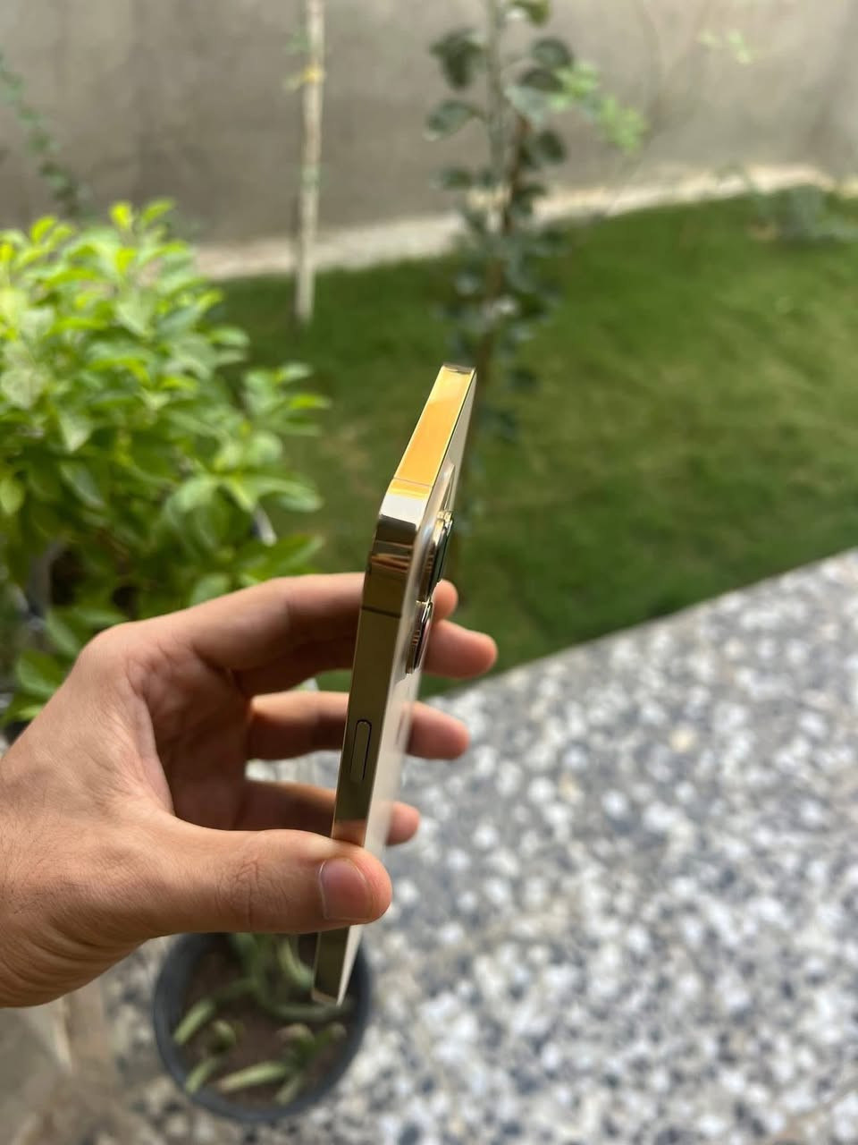 آيفون 13 برو ماكس
ذكره 128 
بطاريه 100 اصليه 
نموذج M 
تك سيم 
مبدل شاشه نوعيه روعه تخبل 
فيس إيدي شغال 
نضافه 100 %
السعر 400 بي مجال بسيط


**إذا كنت صاحب هذا الإعلان وتريد حذفه لأي سبب، رجاءا أرسل رسالة إلى الدعم الفني**