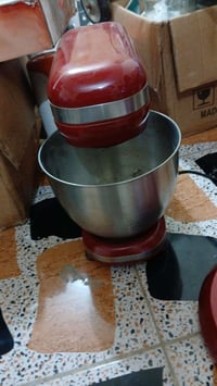 عجانات • خفاقات ناقصة • جديدات وكبار