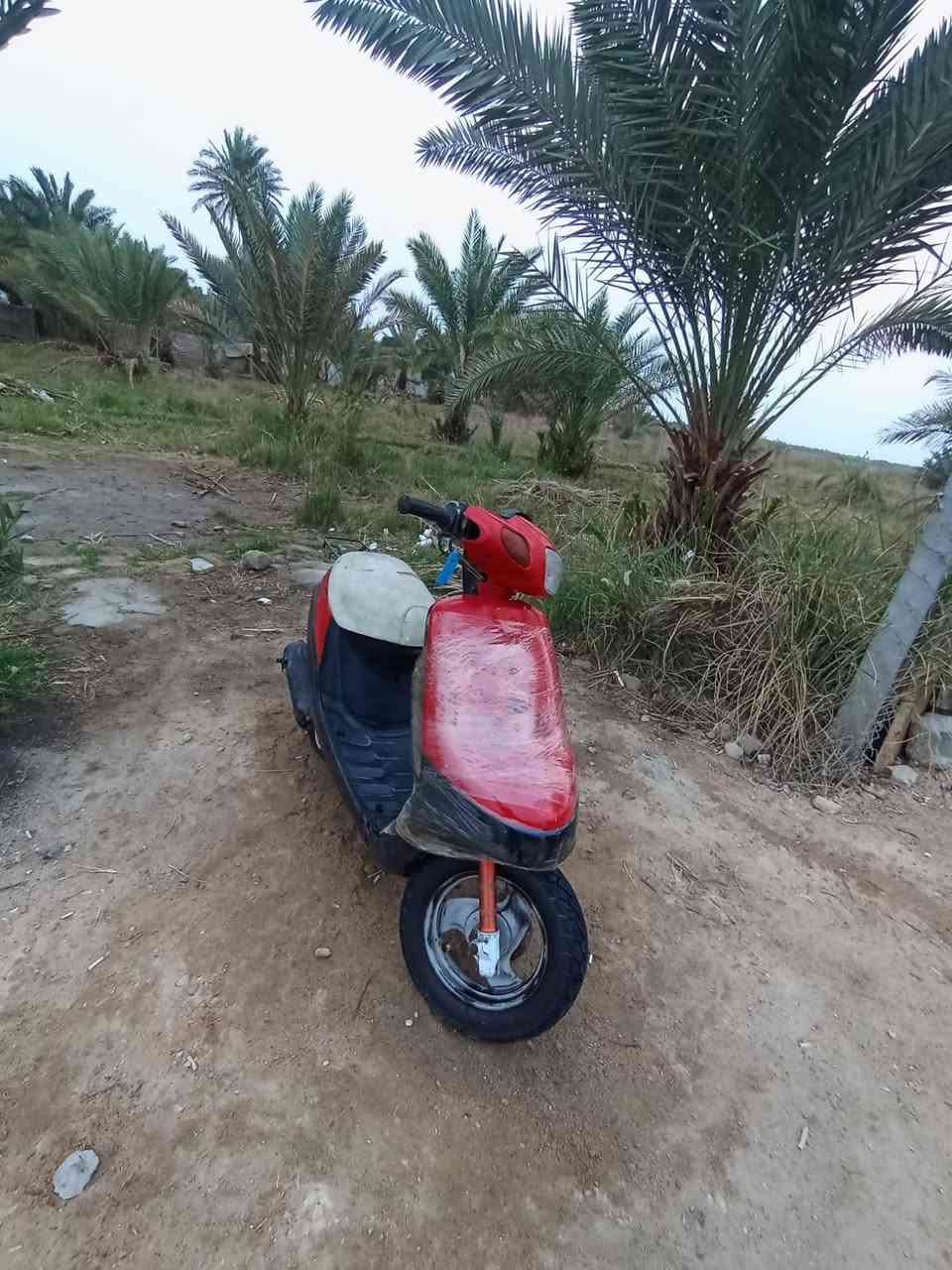 السلام عليكم دراجه بتره مكينه ناعمه وتخبل سعر 250 وبيه مجال بصيط مكاني ناصريه ***********
