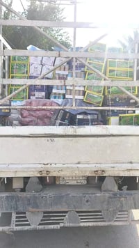 كوت الطشاش • رضا للعروض • ٨ص-١ص