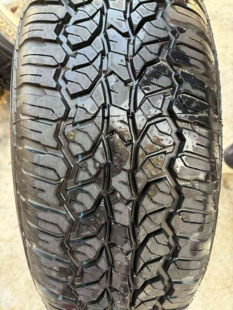 مكان سليماني ***********
