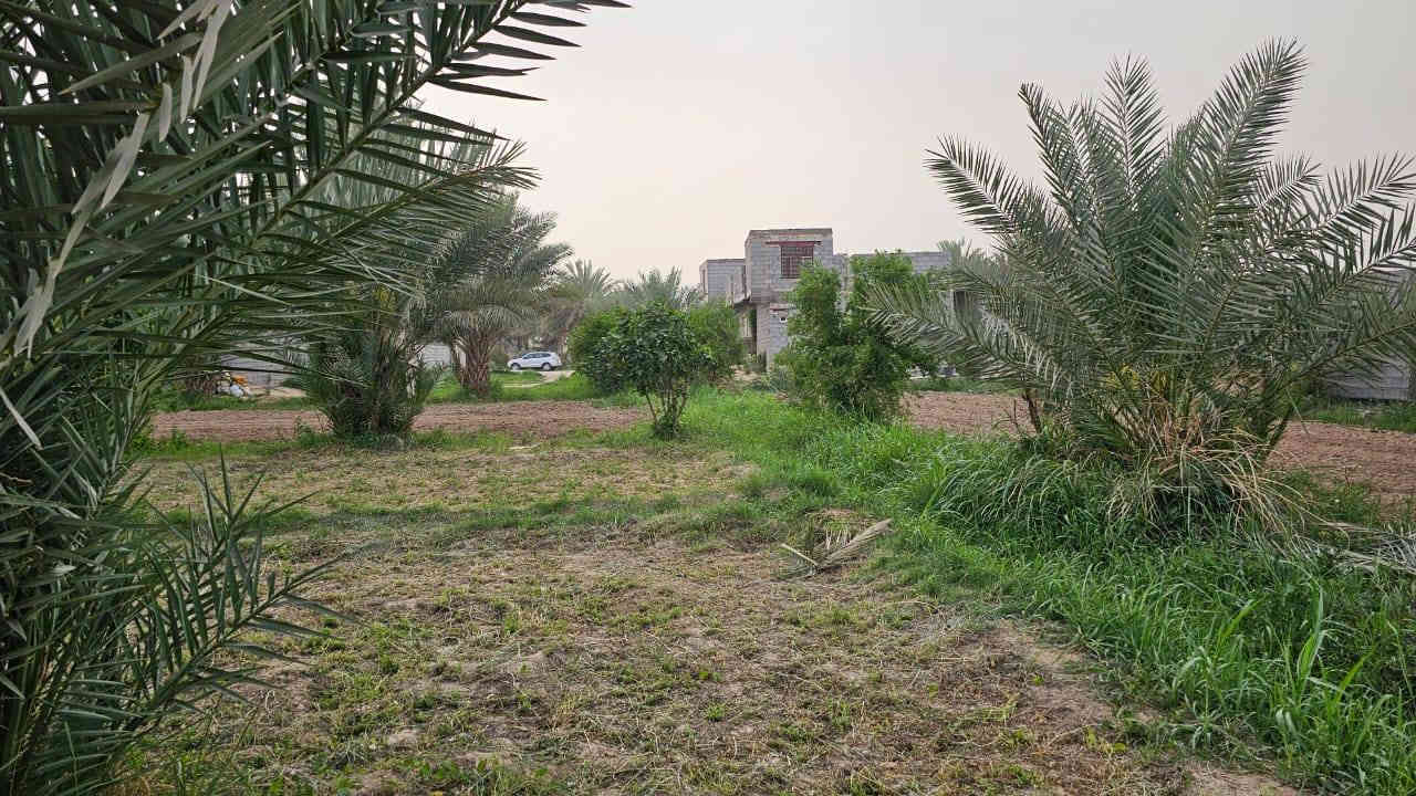 بستان للبيع مساحة 4 دونم واجه 100 متر على التبليط مباشر مع 3 بيوت مساحة كل بيت 250 متر تحت البناء طابو سند 25 (تحويل أسهم بإسم المشتري) متوفرة كافة الخدمات (تبليط /ماء/ كهرباء/ مدارس/ مركز صحي/ الموقع كربلاء - شارع رابط الزبيلية يبعد عن شارع نجف كربلاء 3 كيلو يبعد عن شارع طويريج كربلاء سيطرة الإبراهيمية 3 كيلو يبعد عن مركز مدينة كربلاء الإمامين(ع) 8 كيلوو
*********** /***********📞
