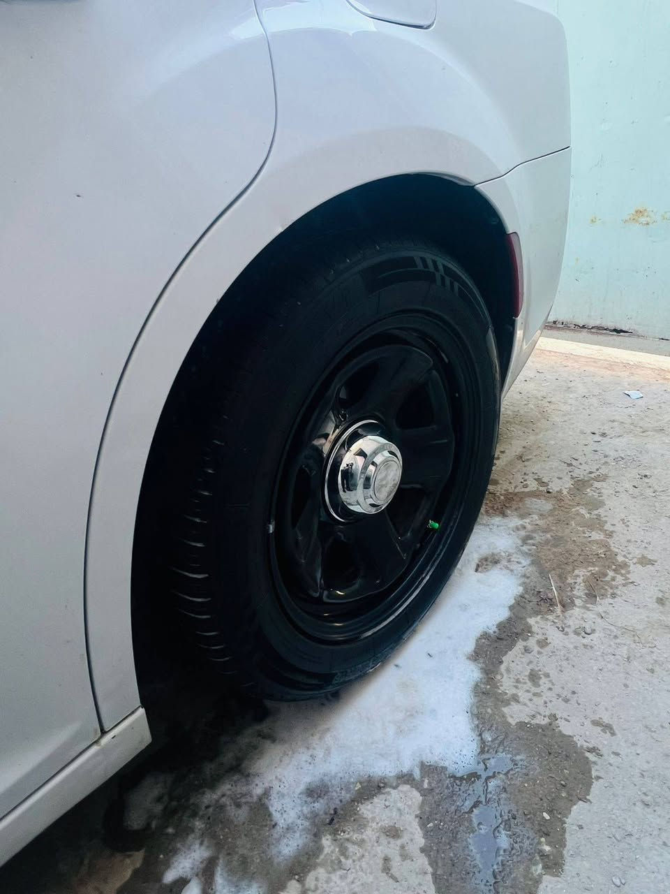 ويل بوليسي حجم ١٨ تجاري كارتون توني شادة جديد بيع او مراس ....استفسار/***********
