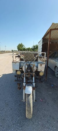 ستوته • ام تياره • بدون وراق