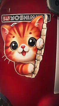 ‏سلام عليكم شباب دراجة بوليس كفالة عامة السعر-1100. 07727028489