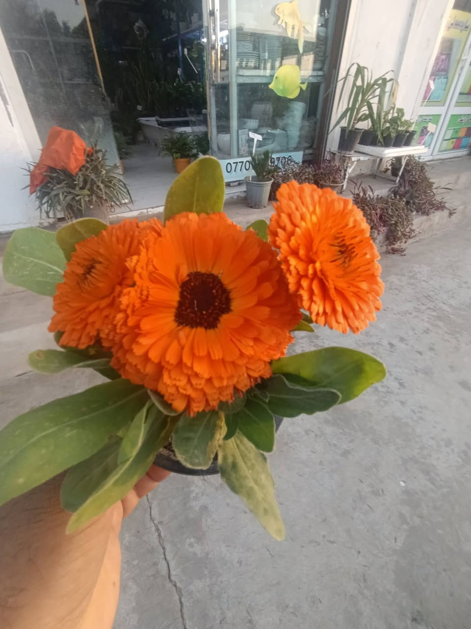 تخفضيات تعال صفحه وشوف كلشي اكو 
***********
