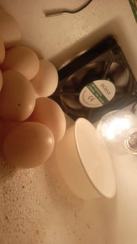 فقاسة • ٣٠-٤٠ بيضة • نهروان شارع ٦٠