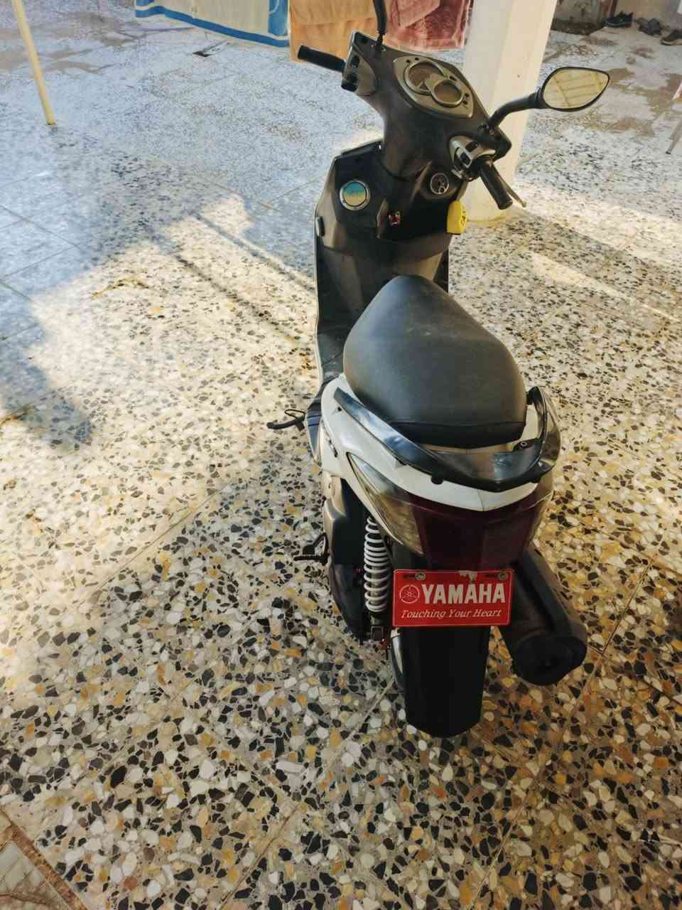 سلام عليكم سكنس فحل للبيع دراجه خير من الله رمبه قبل 5 اشهر نازله دراجه بس داريه دهن وبانزين كهربائيات كلها شغاله خير من الله شلعه ومعدل فول 
العنوان سلمان باك 
السعر 1500وبيه مجال 
رقم ***********
