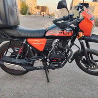 دايوان • ٢٠٢٦ • نكلبت