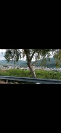 ورحمة سايق لدي اجازه سوق سويديه وعراقيه ولدي لغه انجليزيه كنت أعمل في ...