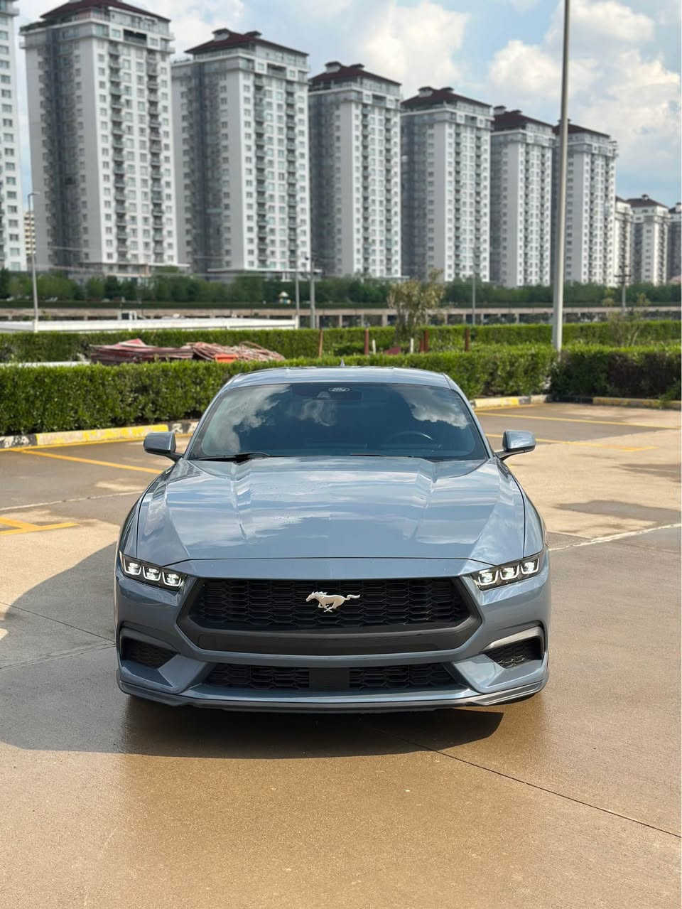 Ford Mustang EcoBoost – Performance Package High 2024

🔹 المحرك: 2.3 لتر تيربو EcoBoost – 4 سلندر
🔹 القوة: 330 حصان (تقريباً 340-350 حصان مع K&N Intake)
🔹 ناقل الحركة: أوتوماتيك
🔹 نظام الدفع: دفع خلفي (RWD)
🌌تغليف بوند و جاملغات امامي و دعامية PPF من امريكا باحسن مواد امريكي

🔹 أوضاع القيادة:
Normal / Sport / Track / Drag Strip / Slippery / Custom

🔹 الفرامل:

* Brembo أمامي 6 بستم
* Brembo خلفي 4 بستم
* ديسكات رياضية كبيرة

🔹 الإطارات والجنوط:

* 19 إنش
* 255/40 R19

🔹 المواصفات:
🛡️رادار امامي 
🛡️رادار جوانب
🛡️رادار تحديد مسار 
🛡️حاسات خلفية 
🛡️نقطة عمياء

Paddle shifters🎚️شفتات استیرن  

* Performance Package / High Performance
* شاشتين رقميتين كبيرتين
* فرامل يد كهربائية (بتصميم يدوي)
* Track Mode + Drag Mode
* Launch Control & Line Lock

🔹 الإضافات:

* فلتر هواء K&N
* فلتر تيربو K&N

🔹 حالة السيارة:

* بحالة ممتازة
* استخدام خفيف
* بدون مشاكل ميكانيكية

🔥 سيارة رياضية بأداء عالي قريب من GT مع استهلاك وقود أقل
📲***********

ضرر فقط جاملغ خلفي بيهه تعديل PDR مع شبرين صبغ بمكان تعديل فقط 
سيارة بجم كبس و ايرباكات كلهه سليمة 
🏎️رقم سليمانية دولي مترقم جديد. 
سعر 255 ورقە السليمانية, العراق

