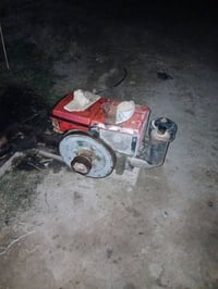 فيتنامي للبيع ٠٧٧٣١٦٧١٣٢٩ ٠٧٨٥٢٩٨١٧٣٥