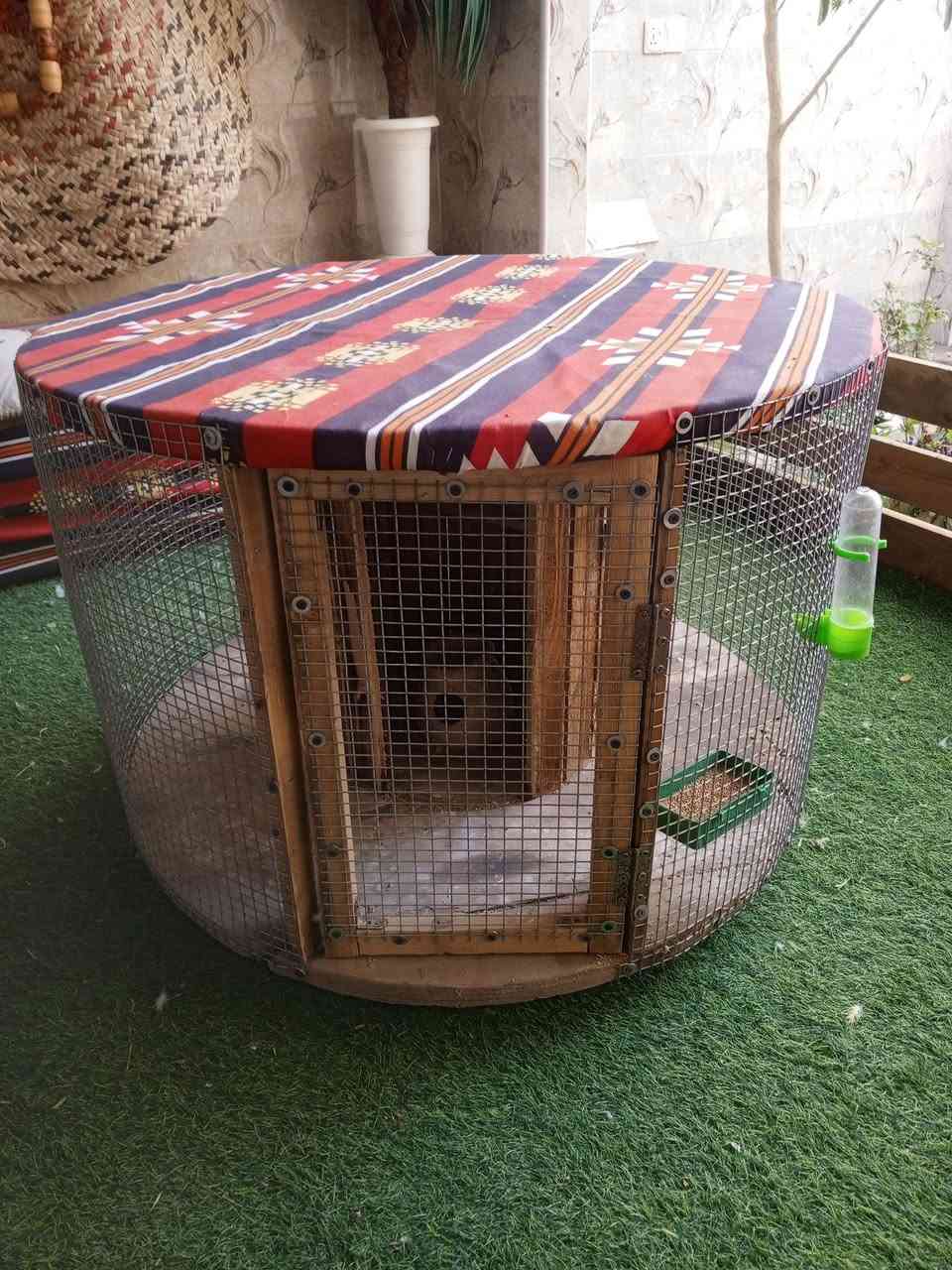 قفص طيور وطاولة طعام يصير بالحديقه بي جروخ قياس 85في85 الارتفاع 60 بي أرسي حديد كامل نجف ويوجد توصيل مجاني سعر 50 رقم ‏‪***********‬‏
