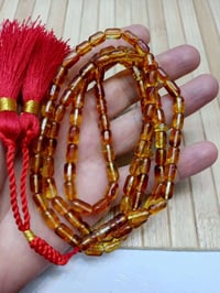 كهرب بولندي • أبو الحشرة • ٢٥ غرام