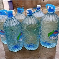 توت خانقين • كەلار